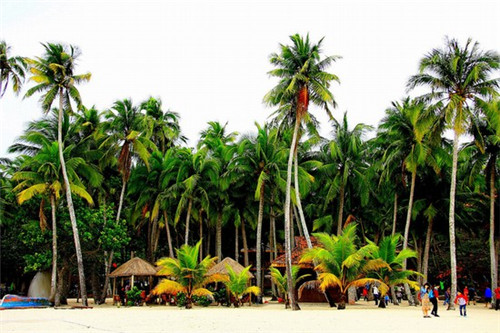 投资加盟和福碳烤前景怎么样