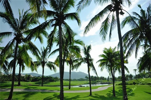 快餐店创业记录表怎么写