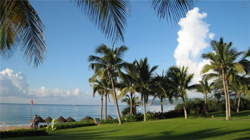 金火烧烤总代理的条件是什么