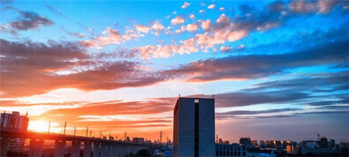 茶方圆奶茶市场前景如何