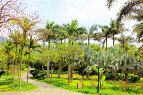 此无鱼小海鲜连锁店有多少