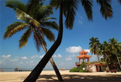 怎么和火锅店谈合作策划