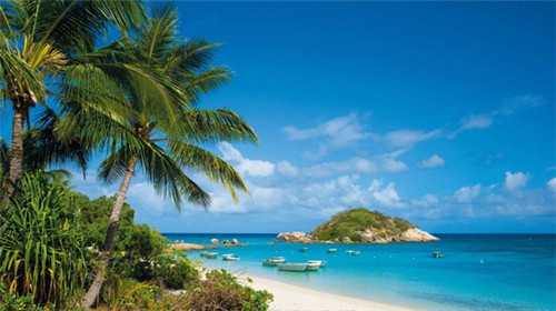 关税大战图片（关税的图片）