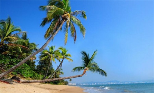 夏这个姓氏怎么取名（夏这个姓氏怎么取名好听）