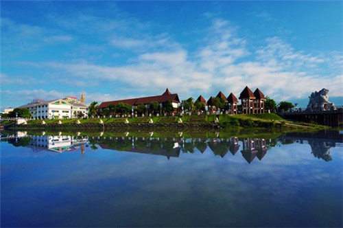 生百生中（生百部是什么植物）